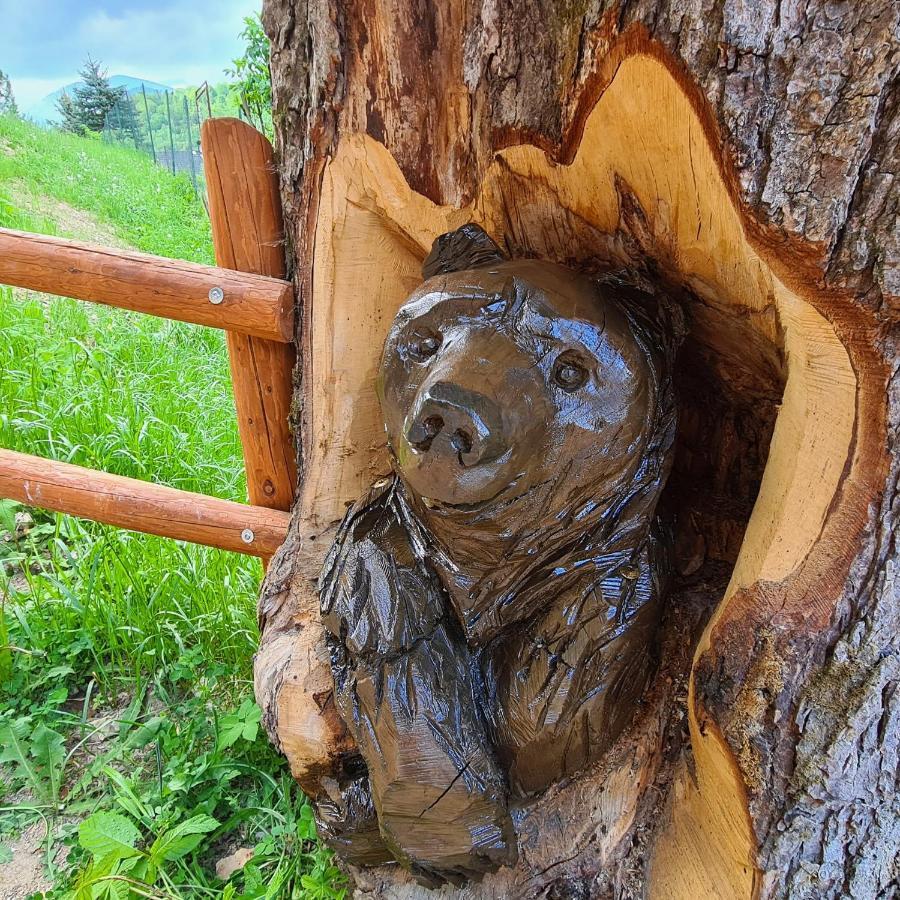 Penzion Duhovy Pstruh Бистра Екстер'єр фото